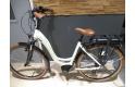 Riese en muller Swing Vario